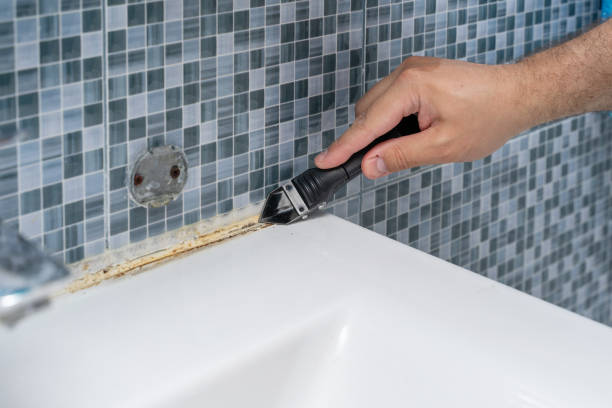 Reliable Ellendale, ND Mold Removal Solutions