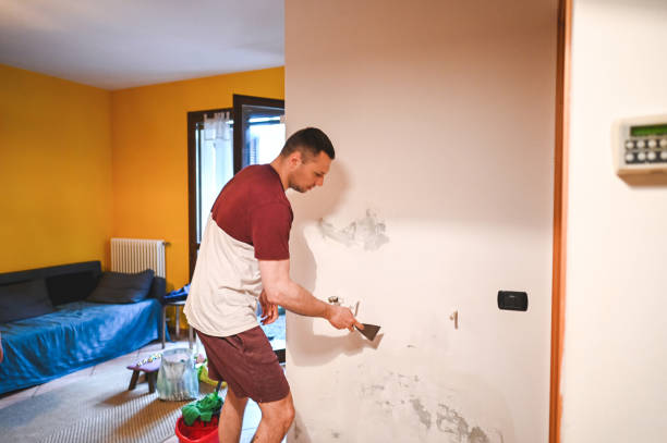 Best Same-Day Mold Removal  in Elleale, ND